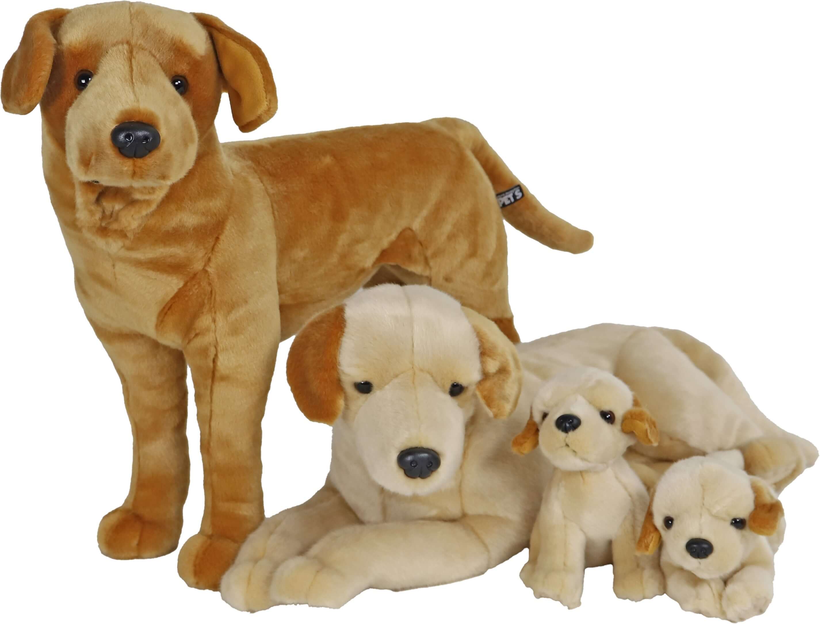 AnimalstoreXL Boony Labrador Pluche Staand Blond 53cm