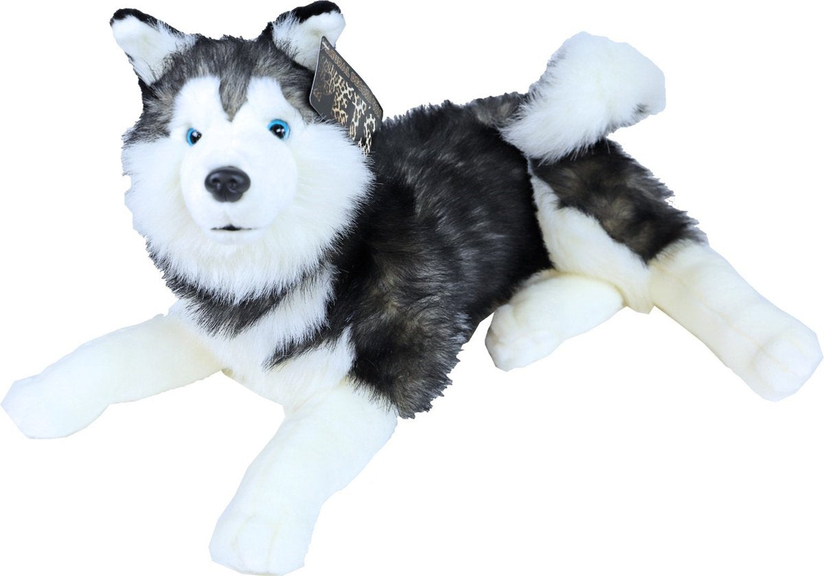 AnimalstoreXL Boony Natural Decoration pluche husky 53 cm