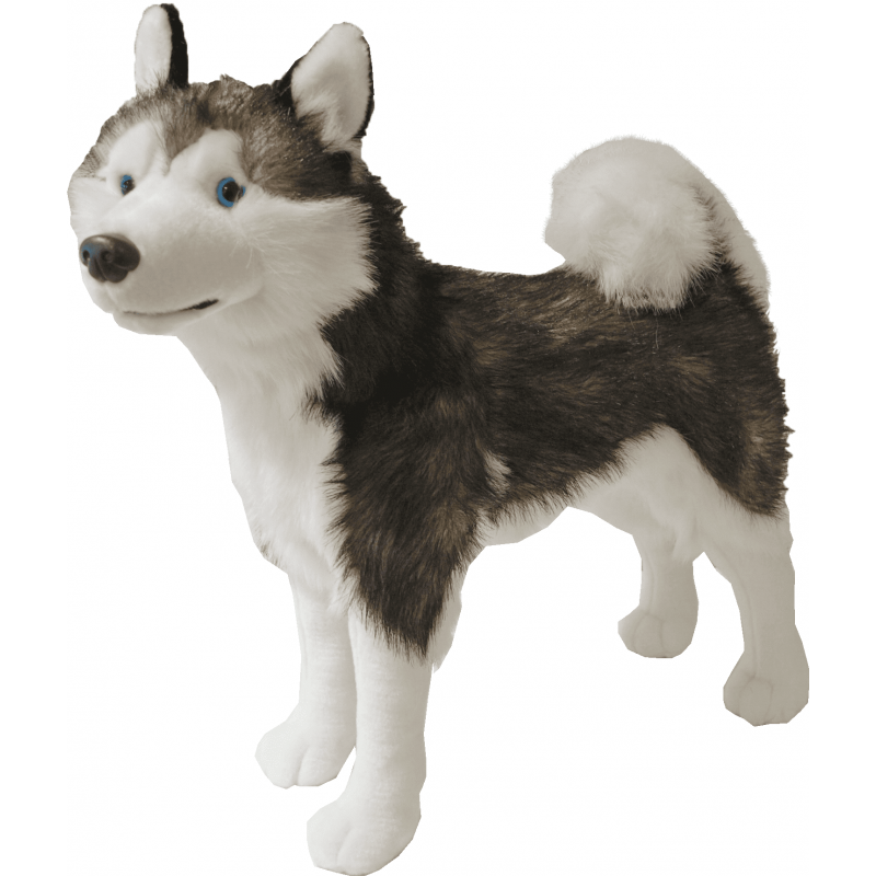 AnimalstoreXL Boony Natural Decoration pluche husky 53 cm