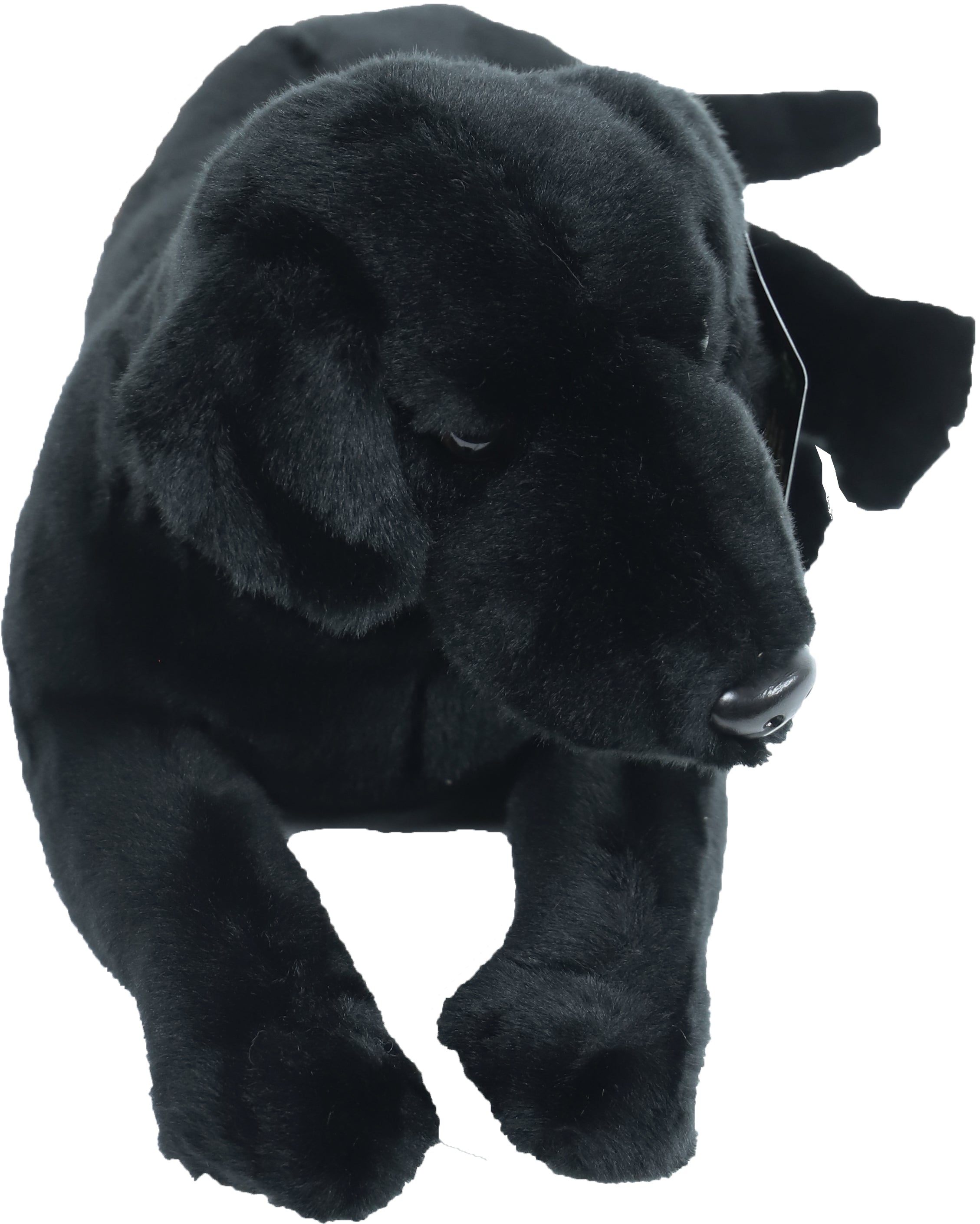 AnimalstoreXL Labrador Pluche Liggend Zwart 53cm