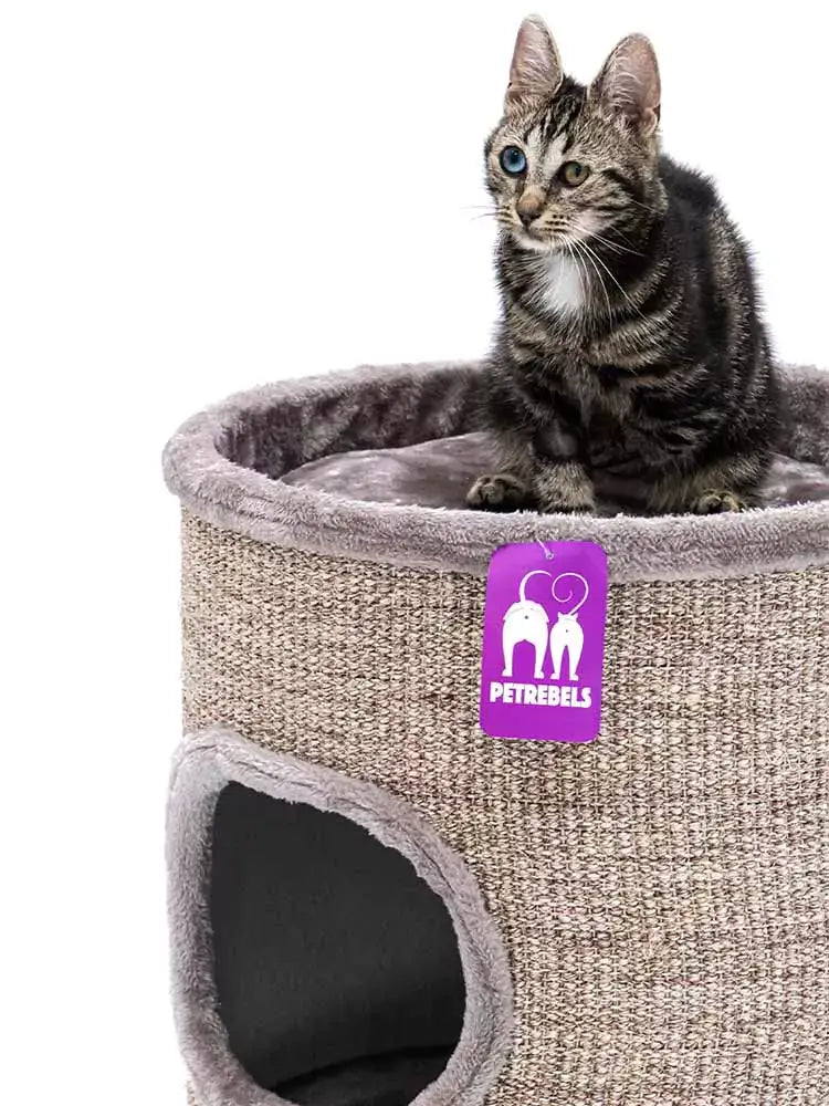AnimalstoreXL Petrebels Krabton Champions Only Dome 80 Cappuccino