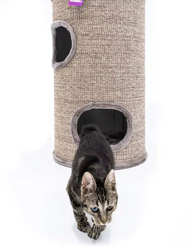 AnimalstoreXL Petrebels Krabton Champions Only Dome 80 Cappuccino