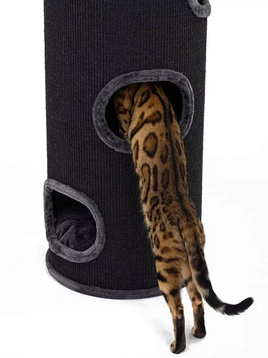 AnimalstoreXL Petrebels Krabton Champions Only Dome 110 Pepper