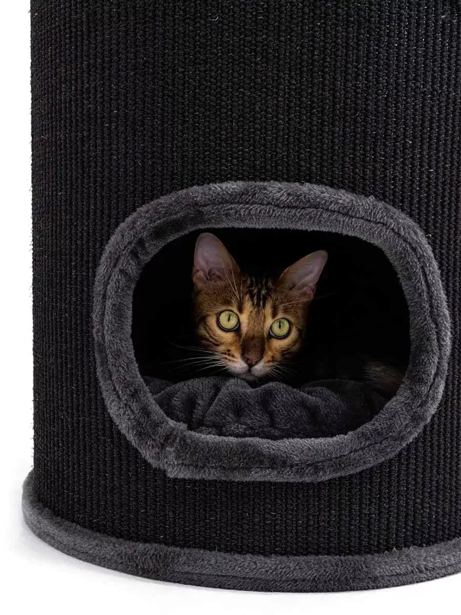 AnimalstoreXL Petrebels Krabton Champions Only Dome 110 Pepper