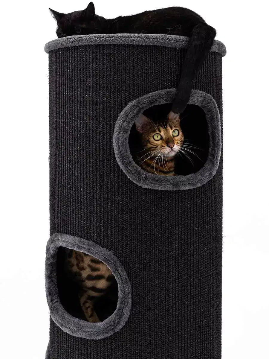 AnimalstoreXL Petrebels Krabton Champions Only Dome 110 Pepper