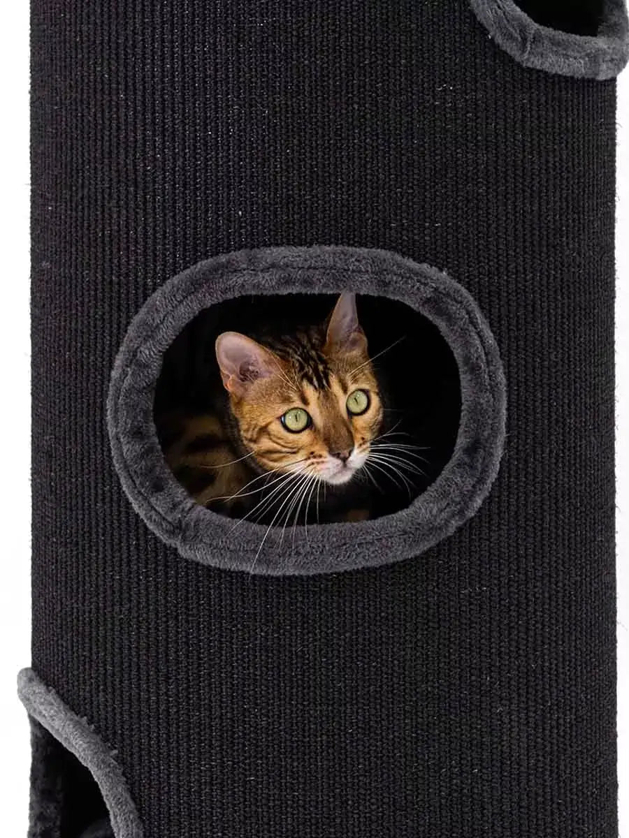 AnimalstoreXL Petrebels Krabton Champions Only Dome 110 Pepper