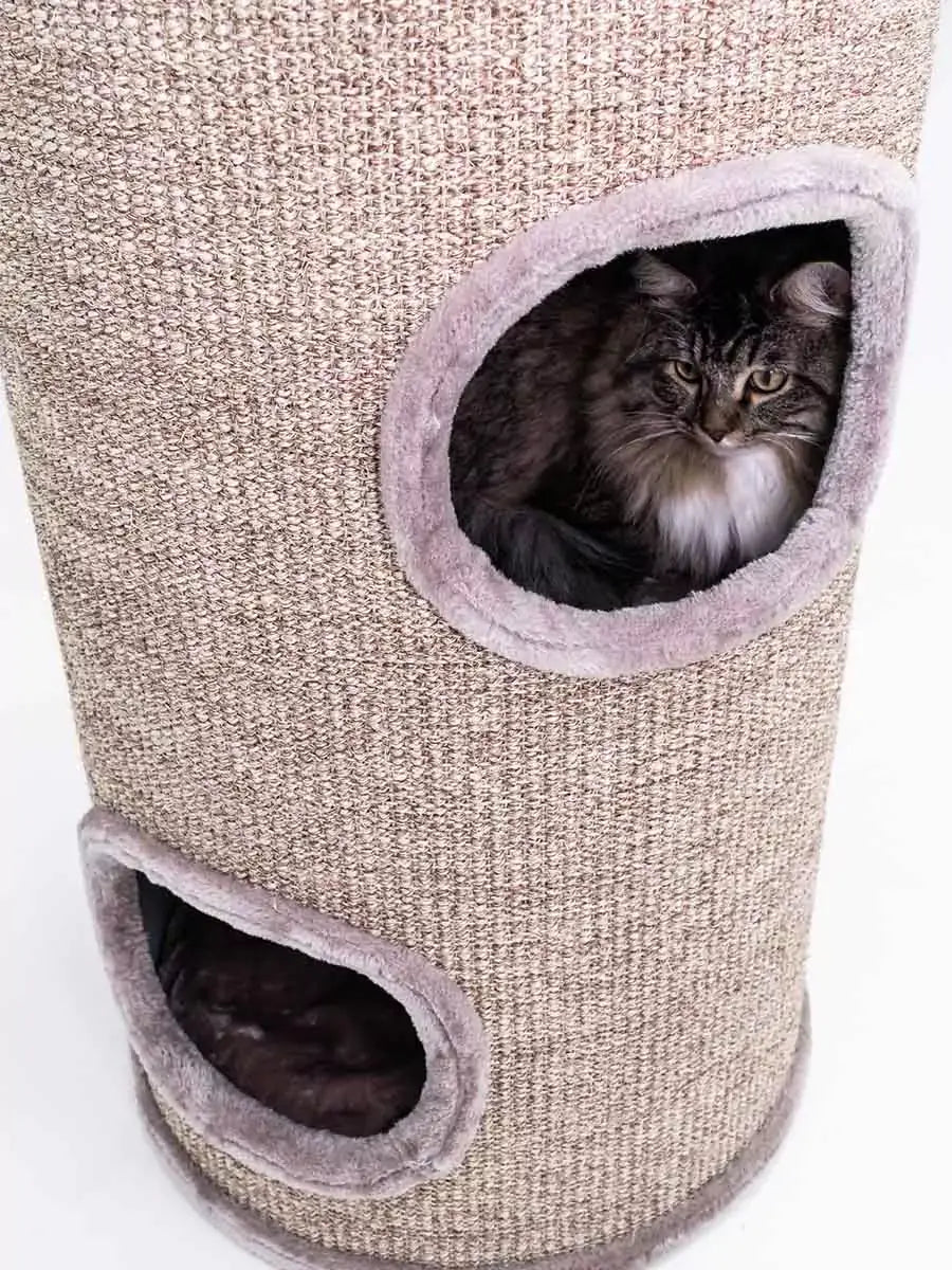 AnimalstoreXL Petrebels Krabton Champions Only Dome 110 Cappuccino