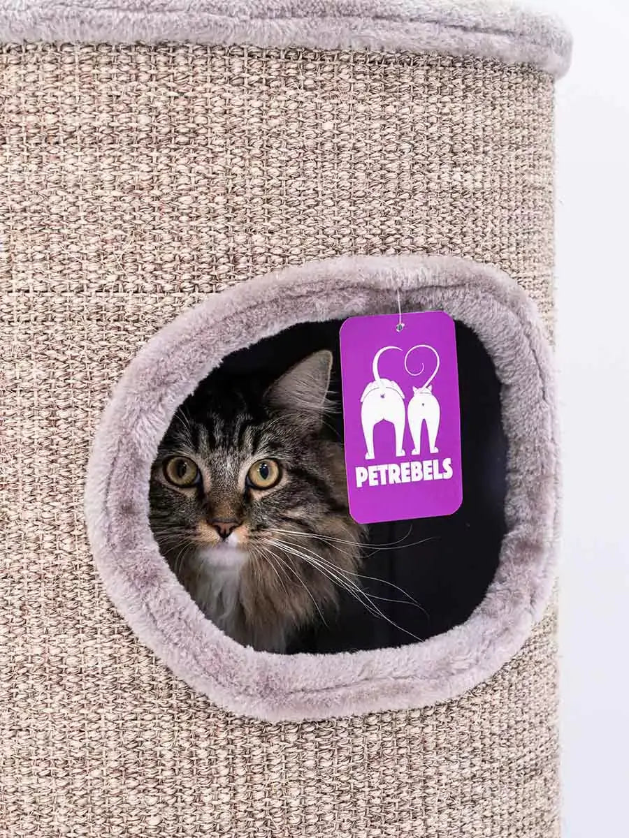 AnimalstoreXL Petrebels Krabton Champions Only Dome 110 Cappuccino
