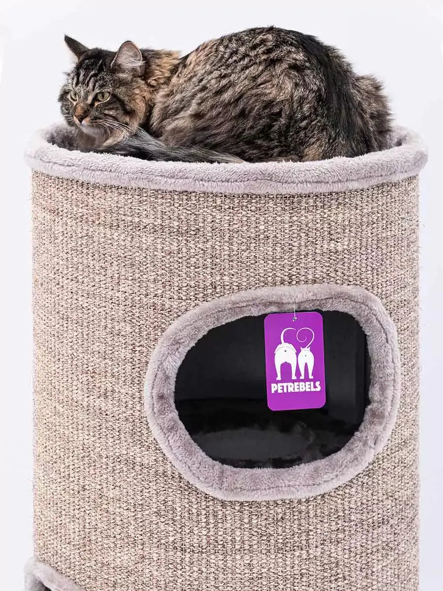 AnimalstoreXL Petrebels Krabton Champions Only Dome 110 Cappuccino