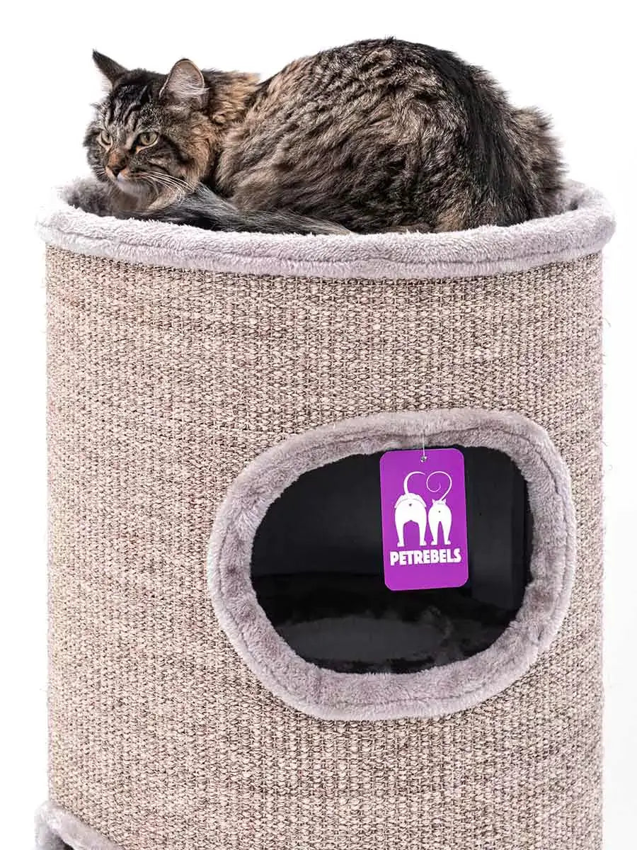 AnimalstoreXL Petrebels Krabton Champions Only Dome 110 Cappuccino