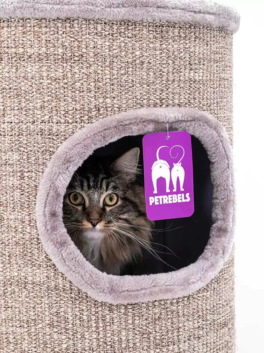 AnimalstoreXL Petrebels Krabton Champions Only Dome 110 Cappuccino