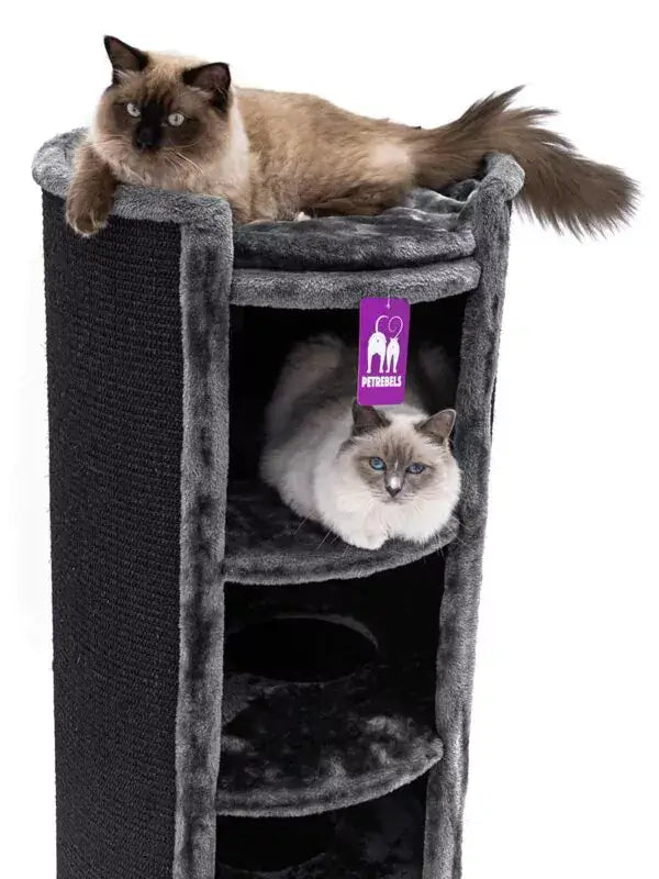 AnimalstoreXL Petrebels Krabton Champions Only Superdome 120 Pepper
