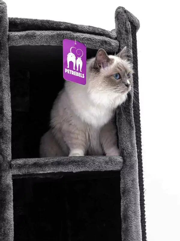 AnimalstoreXL Petrebels Krabton Champions Only Superdome 120 Pepper