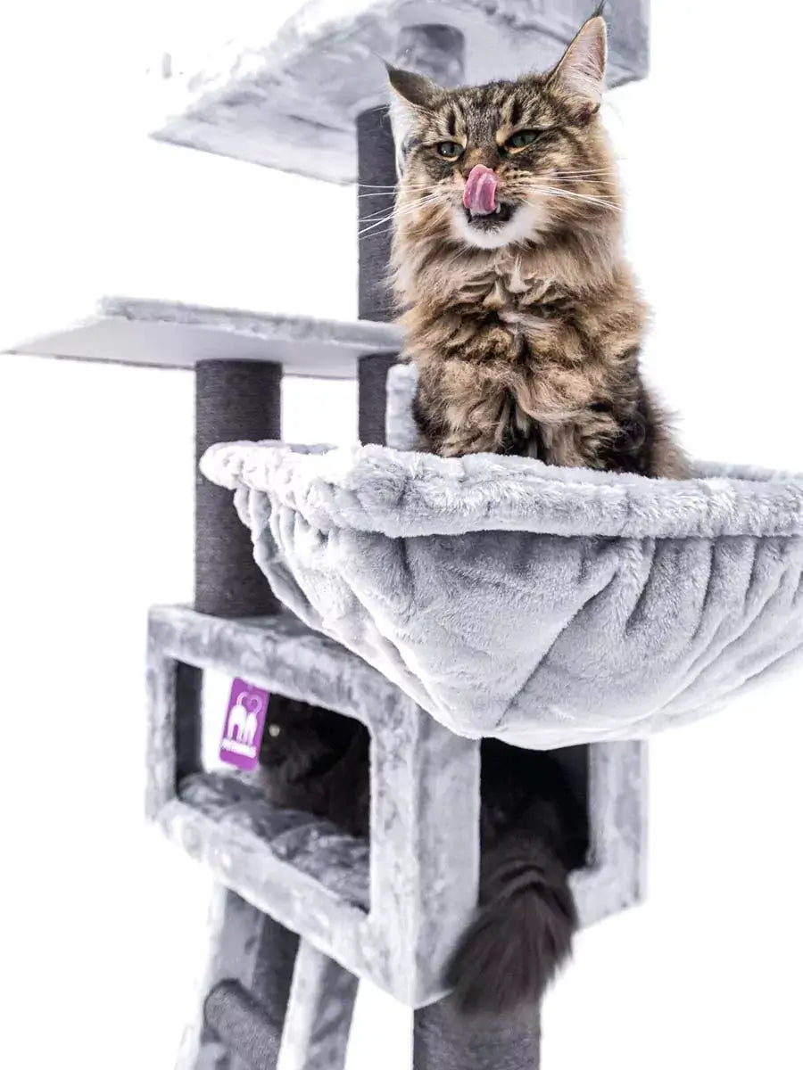 AnimalstoreXL Petrebels Krabpaal Lucky Bastards Parklane 175 Grey