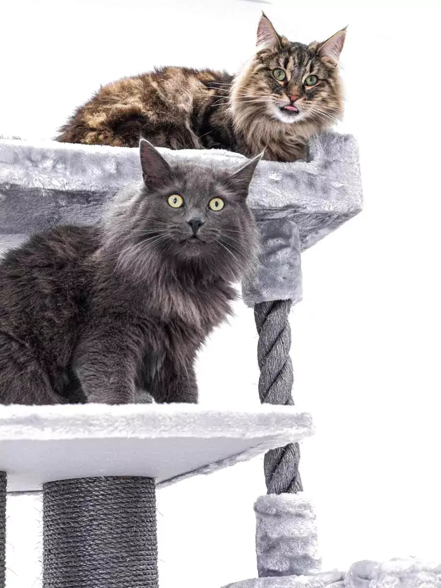 AnimalstoreXL Petrebels Krabpaal Lucky Bastards Parklane 175 Grey
