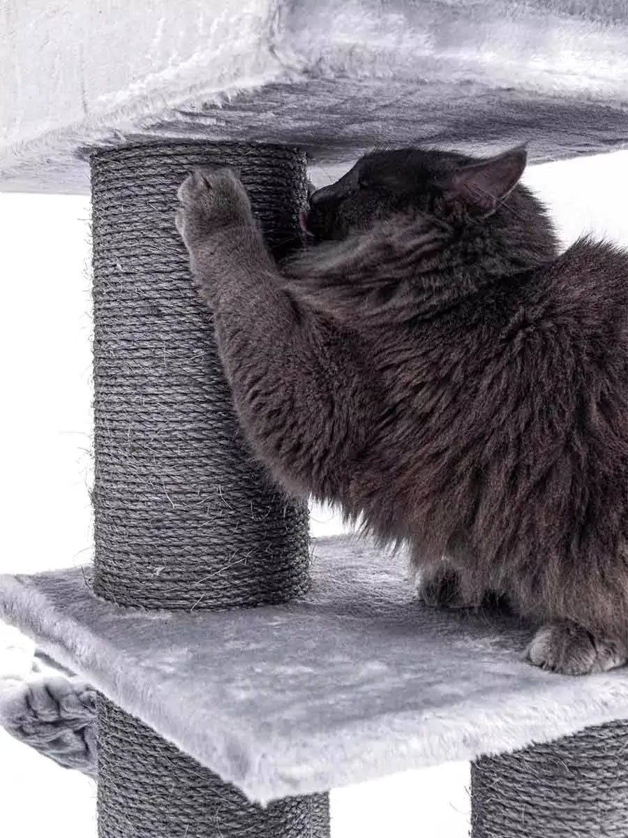 AnimalstoreXL Petrebels Krabpaal Lucky Bastards Parklane 175 Grey
