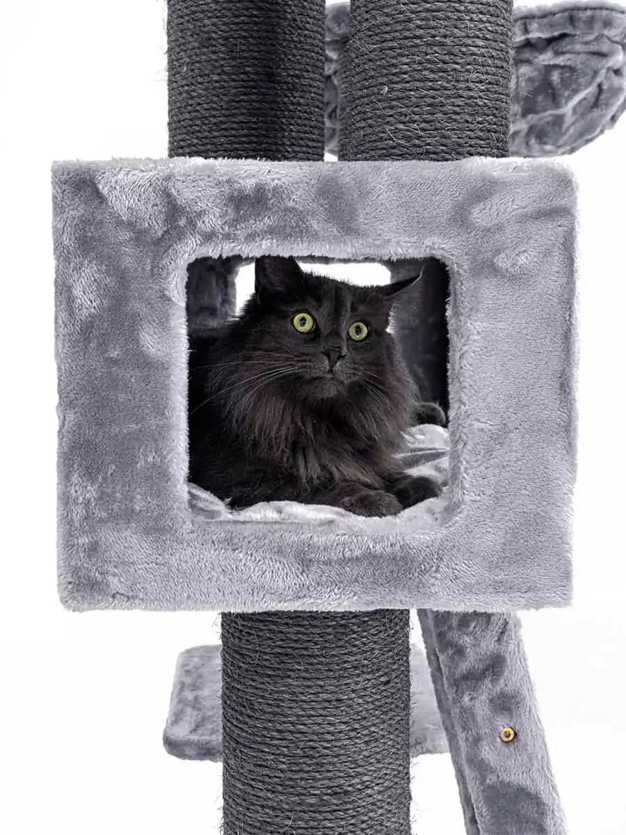 AnimalstoreXL Petrebels Krabpaal Lucky Bastards Parklane 175 Grey