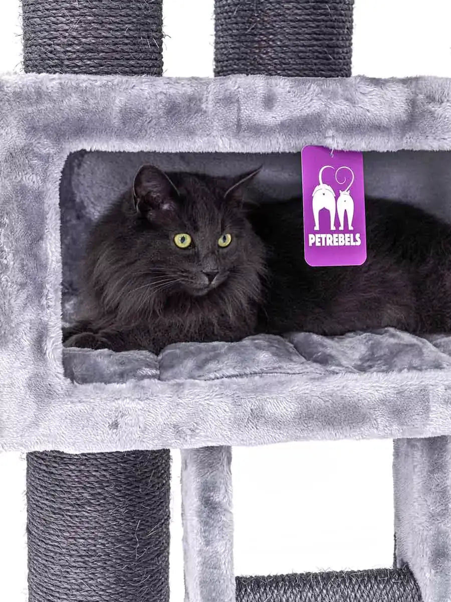 AnimalstoreXL Petrebels Krabpaal Lucky Bastards Parklane 175 Grey