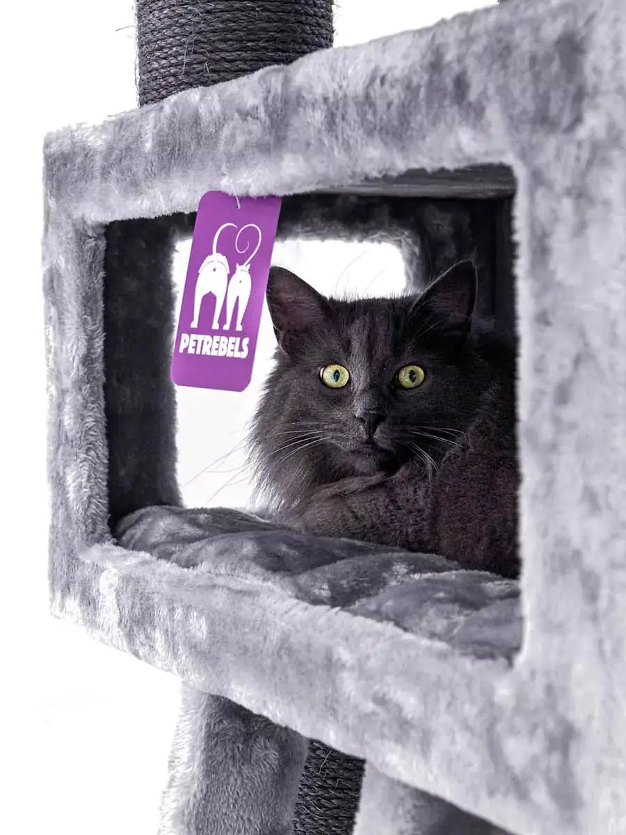 AnimalstoreXL Petrebels Krabpaal Lucky Bastards Parklane 175 Grey