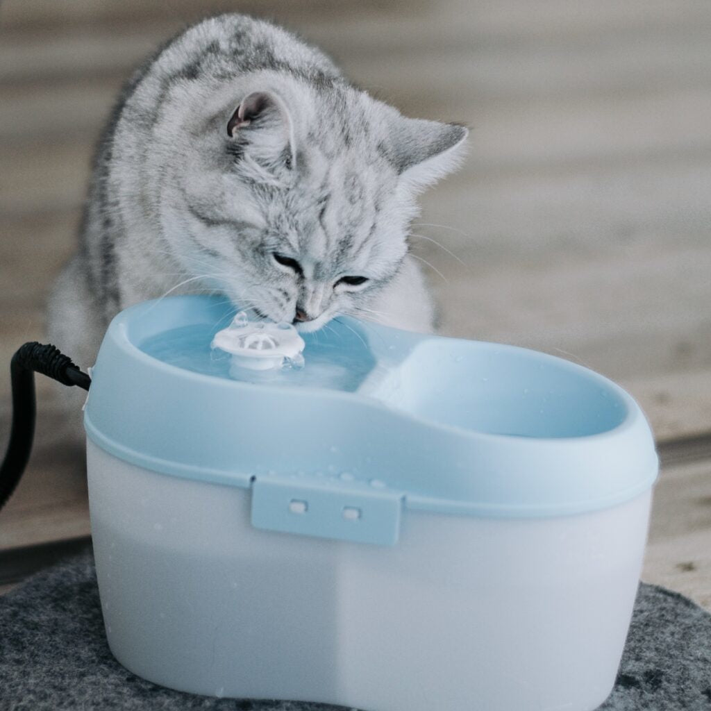 AnimalstoreXL Kat Waterfontein + Waterfilter
